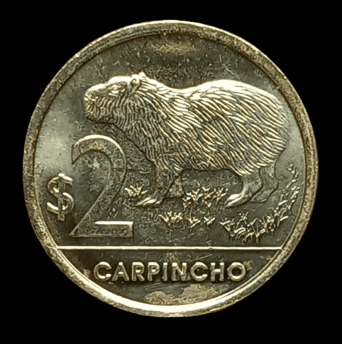 Read more about the article NEW !!!  Uruguay 2024 2 Pesos KM # 136 Carpincho ( capybara ) – UNC