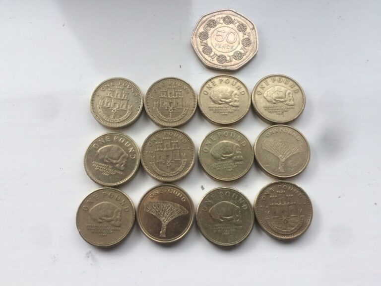 Read more about the article nice lot 12 gibraltar £1 one pound coins various styles types and 1 50p coin