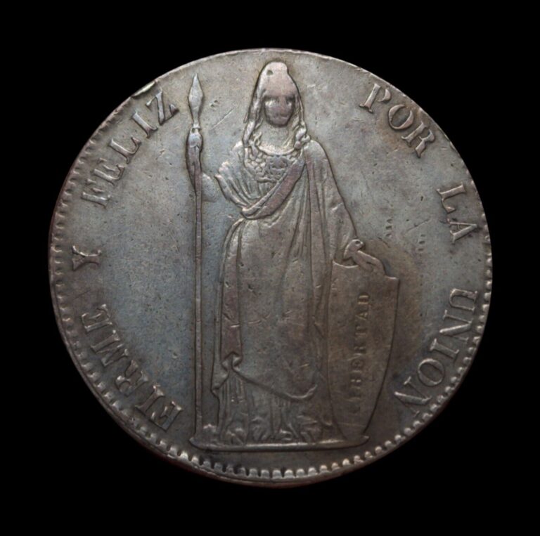 Read more about the article 1855 Peru 8 Reales