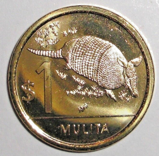 Read more about the article 2011 Uruguay 1 peso  Armadillo  animal wildlife coin