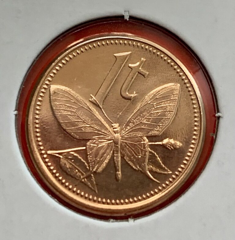 Read more about the article 2004 Papua New Guinea  1 Toea KM1 Coin Butterfly Insect Bird of Paradise Animal