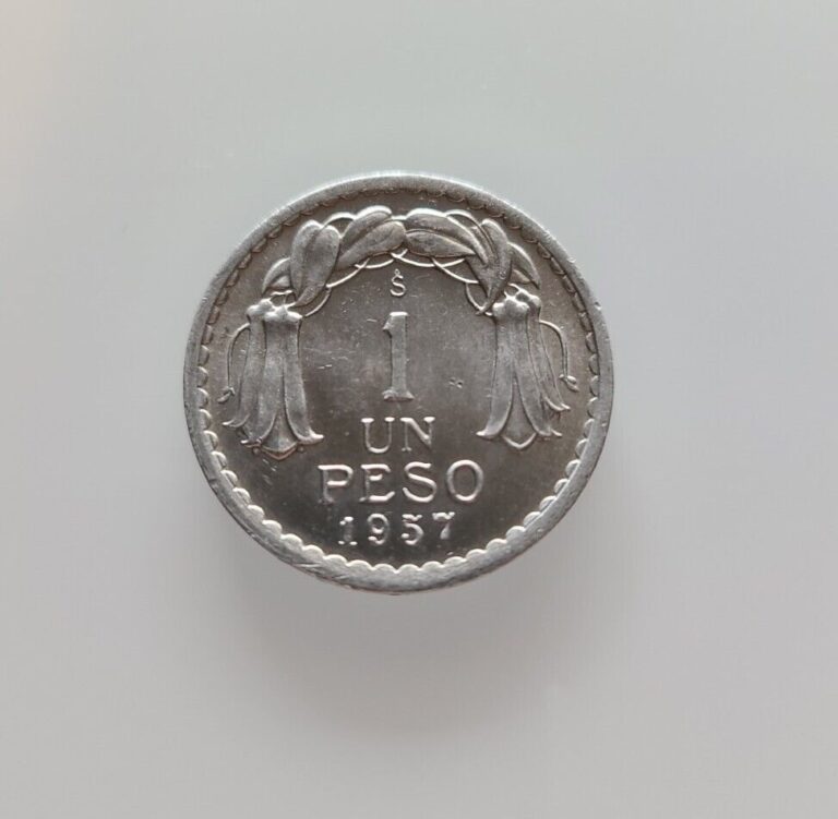 Read more about the article 1957 Chile 1 Peso – Antique Coin in Nice Condition
