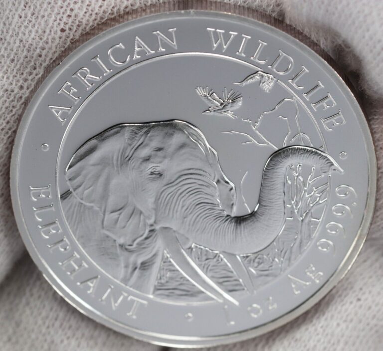 Read more about the article 2018 Somalia 100 Shillings African Elephant 1 oz Proof Silver Crown Coin .999