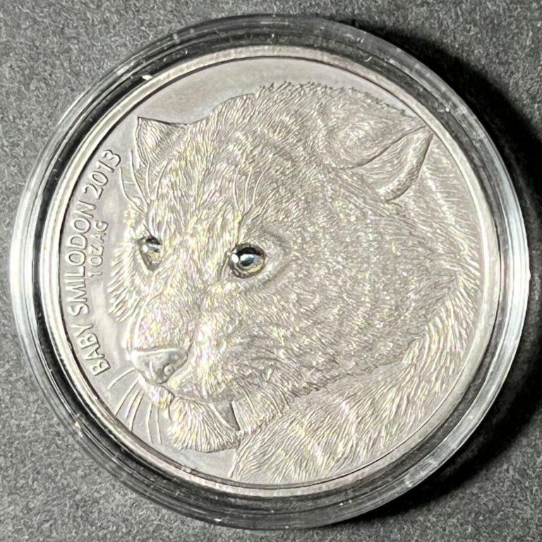 Read more about the article 2013 Congo Burkina Faso-Baby Smilodon 1000 franc Silver Coin