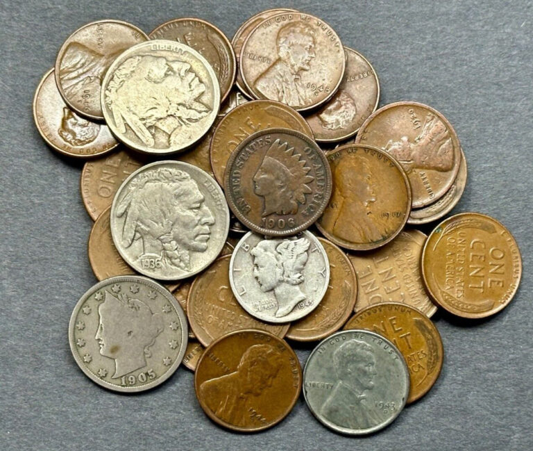 Read more about the article ESTATE SALE  OLD US COINS  STARTER LOT  SILVER  BUFFALO NICKELS  COLLECTOR COINS