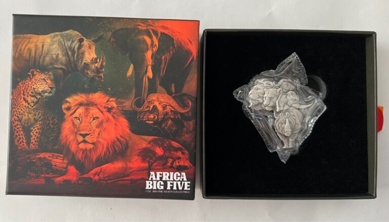 Read more about the article 2022 Chad 1 oz Silver Big Five Africa Shaped Antiqued High Relief Coin with Box