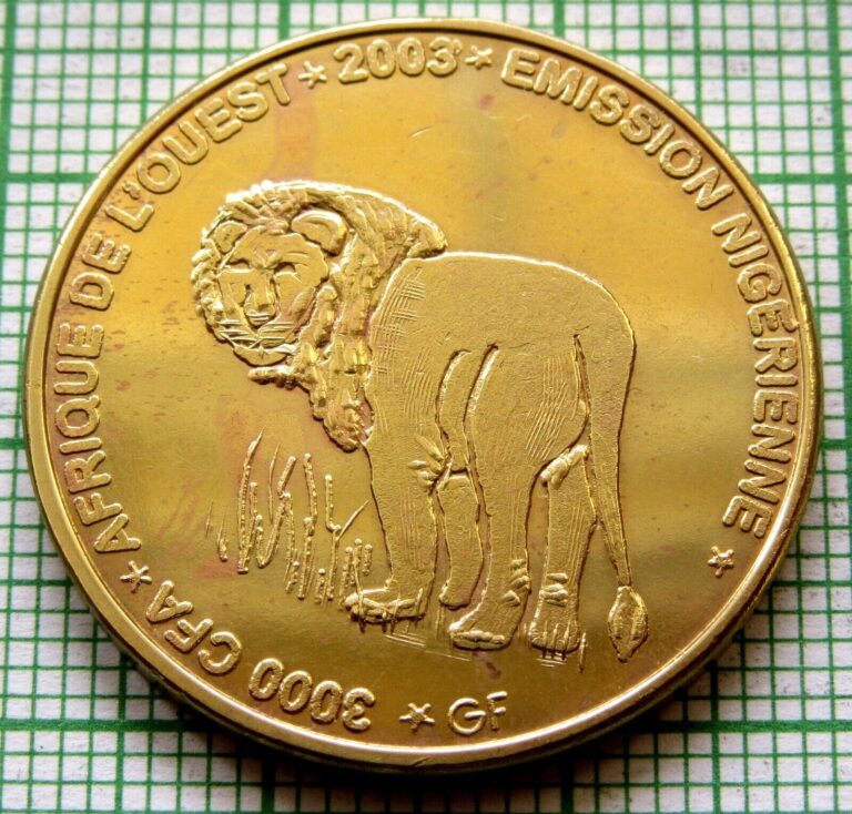 Read more about the article NIGER 2003 2 AFRICA or 3000 CFA COIN  LION  IDAO COINAGE Brass Unusual