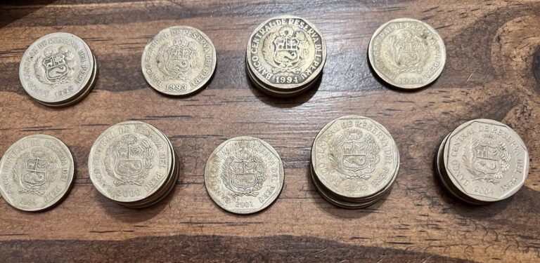 Read more about the article Coin Peru 1 Nuevo Sol-Lot Of 24-1992-2004-Wreath Coin