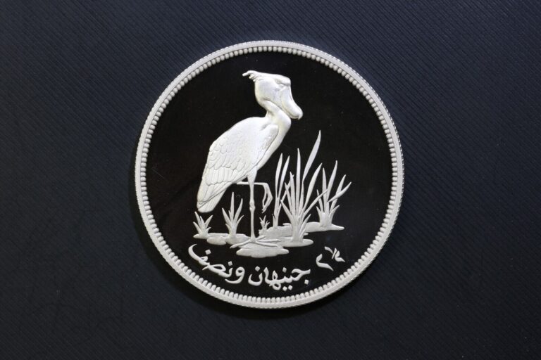 Read more about the article SUDAN 1976 2 1/2 POUNDS Silver .8410 ASW PROOF Beautiful coin! SHOEBILL STORK!