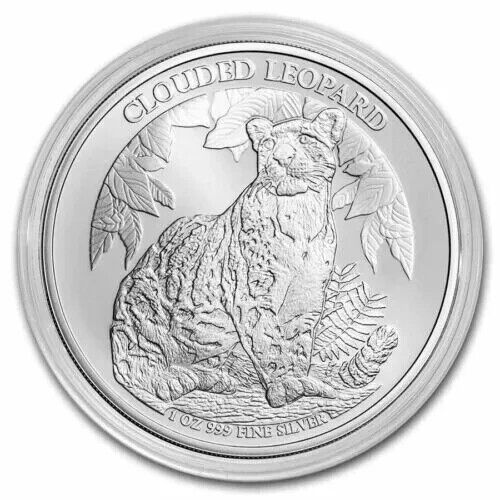 Read more about the article 2023 Cambodia 1 oz Clouded Leopard .999 Silver Coin BU/ Mint Capsule