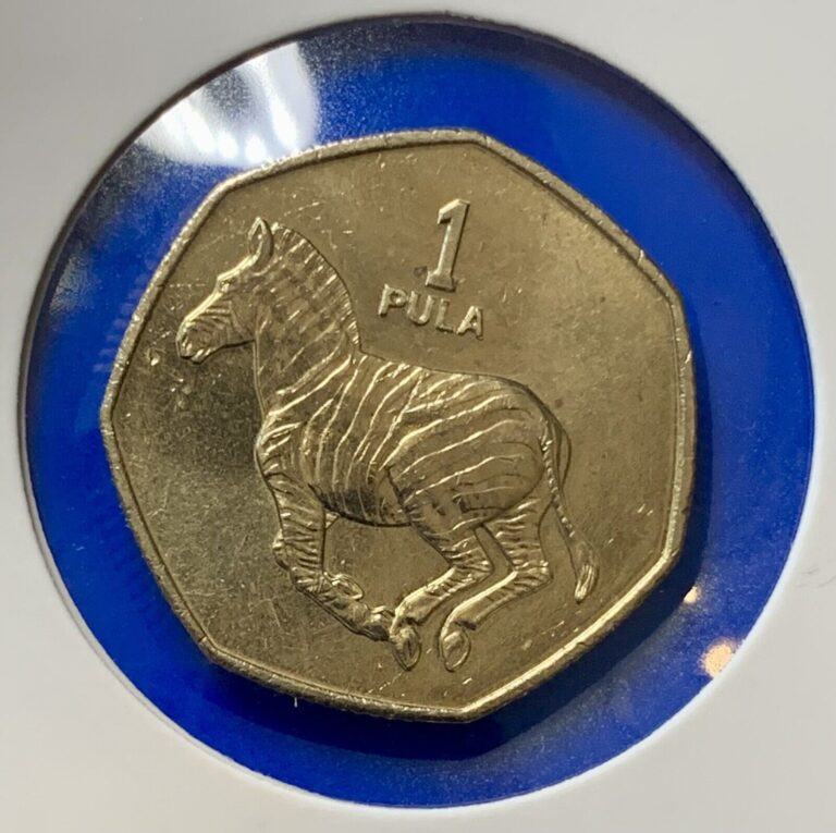 Read more about the article 1991 Botswana 1 Pula  Zebra Animal World Africa Coin