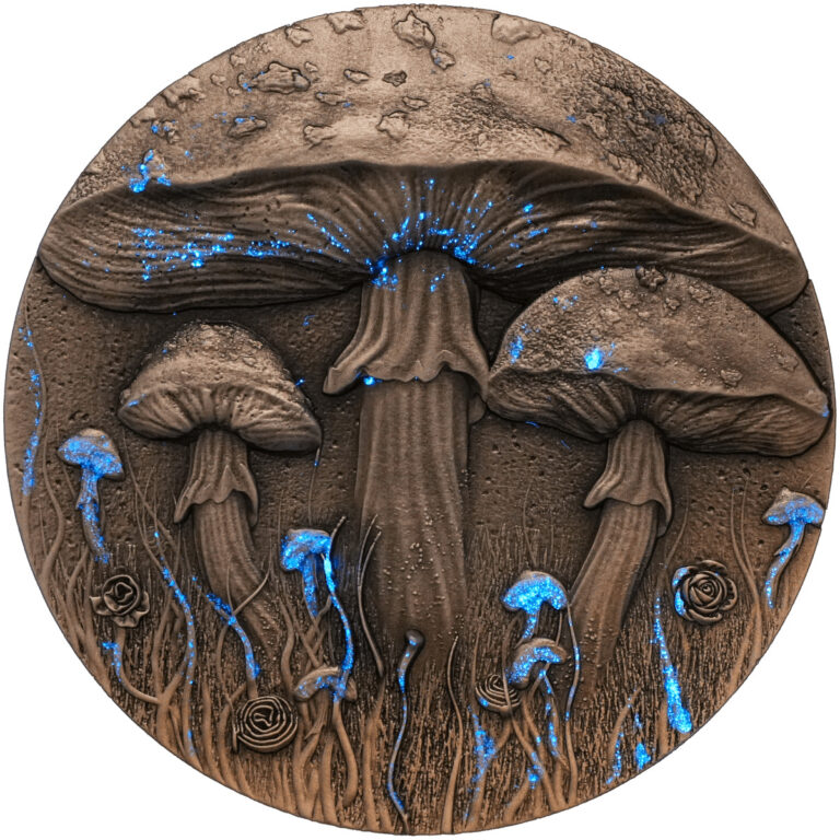 Read more about the article 2025 Cameroon Magic Mushroom 2 oz Silver Antiqued UV Enamel Coin MINTAGE OF 199