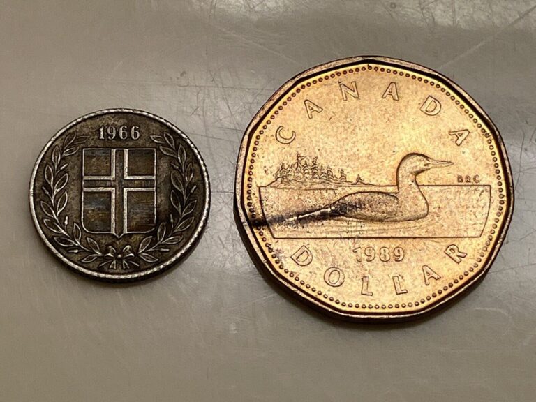 Read more about the article 1989 Canada $1 Dollar Loonie and 1966 Iceland 25 Aurar Old Antique Foreign Coins