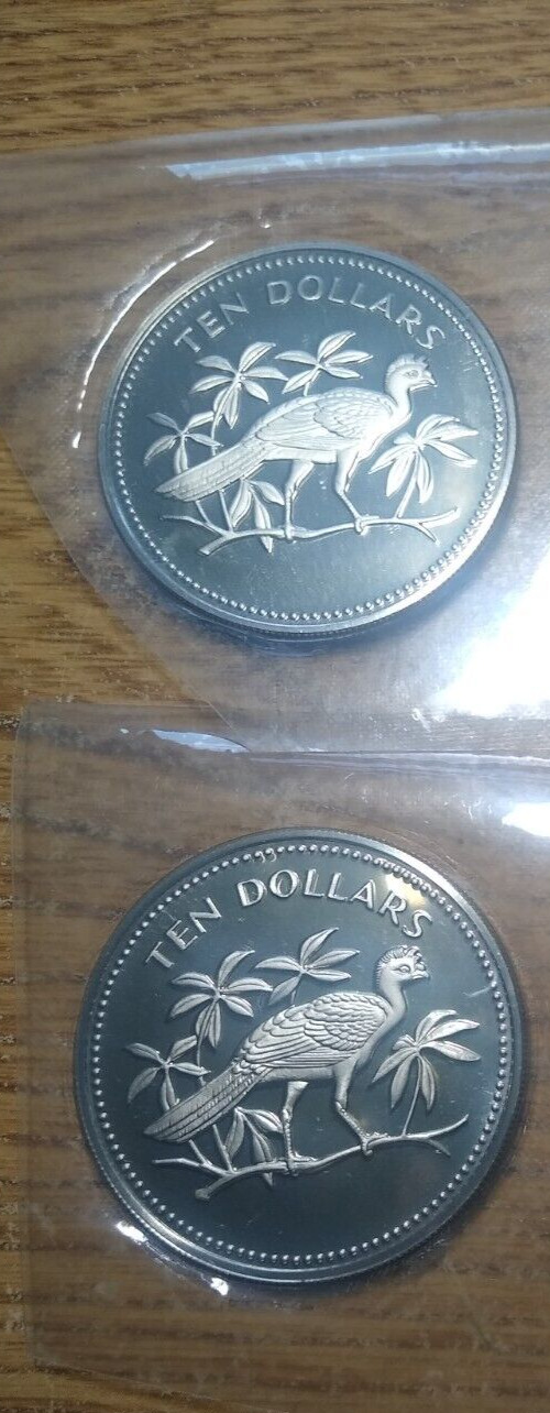 Read more about the article lot of 2 belize 1974 10 dollars silver coins proof