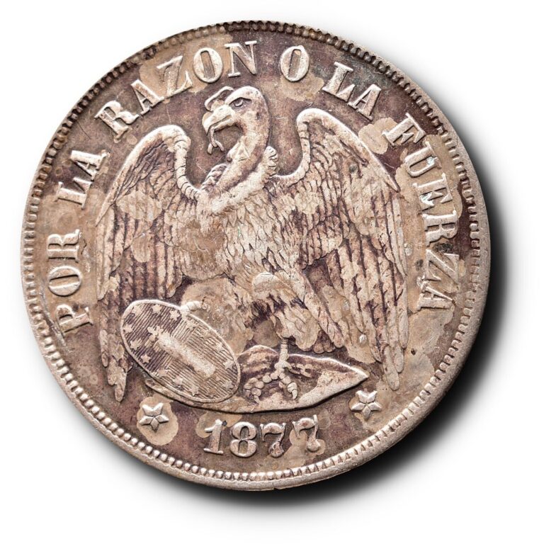 Read more about the article 1877 So Chile Silver One 1 Peso AU Detail