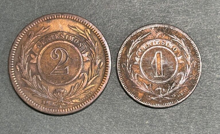 Read more about the article 1869 Uruguay 2 Coins Lot