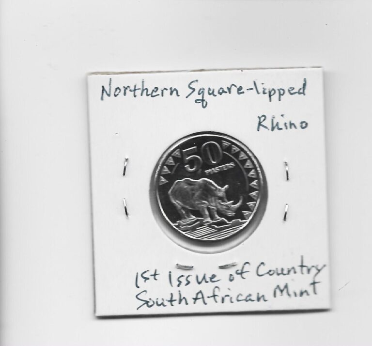 Read more about the article South Sudan 50 Piasters 2015 K3 Square-lipped Rhino 1st Issue of Country