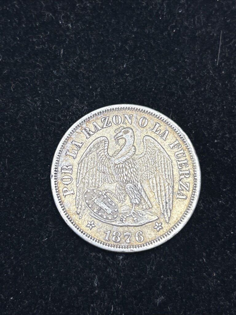 Read more about the article SASA 1876 CHILE Silver 1 Peso Nice Coin