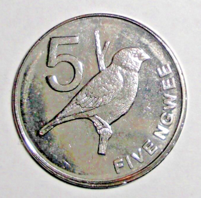 Read more about the article 2012 Zambia 5 ngwee Coin Africa Zambezi Indigobird (Twinspot) Animal Wildlife