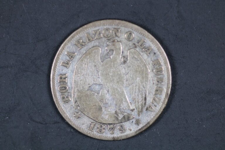 Read more about the article 1879 Chile 20 Centavos  Silver