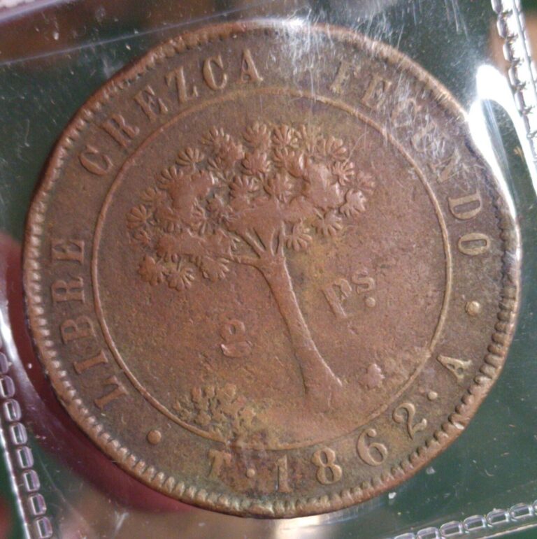 Read more about the article 1862 Honduras 8 Pesos