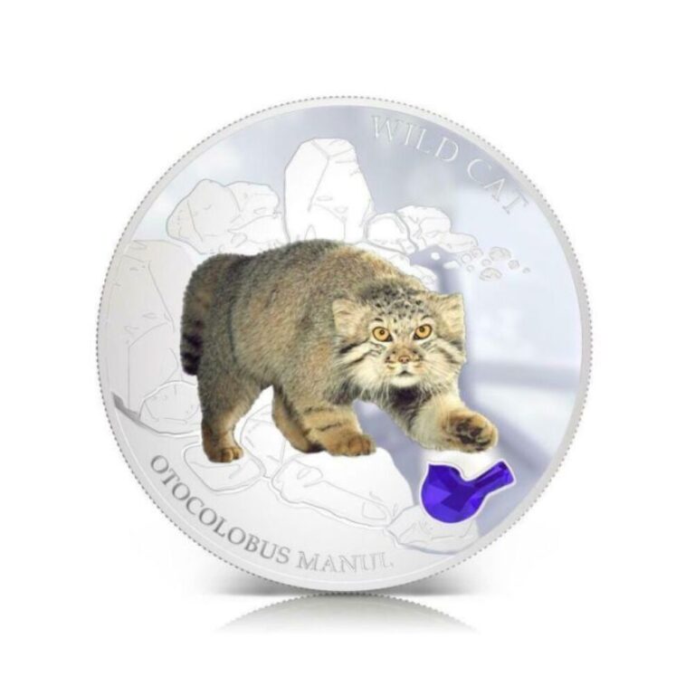 Read more about the article Fiji 2013 2 Dollar Dogs and Cats Wild Cat Otocolobus Manul 1Oz Silver Coin