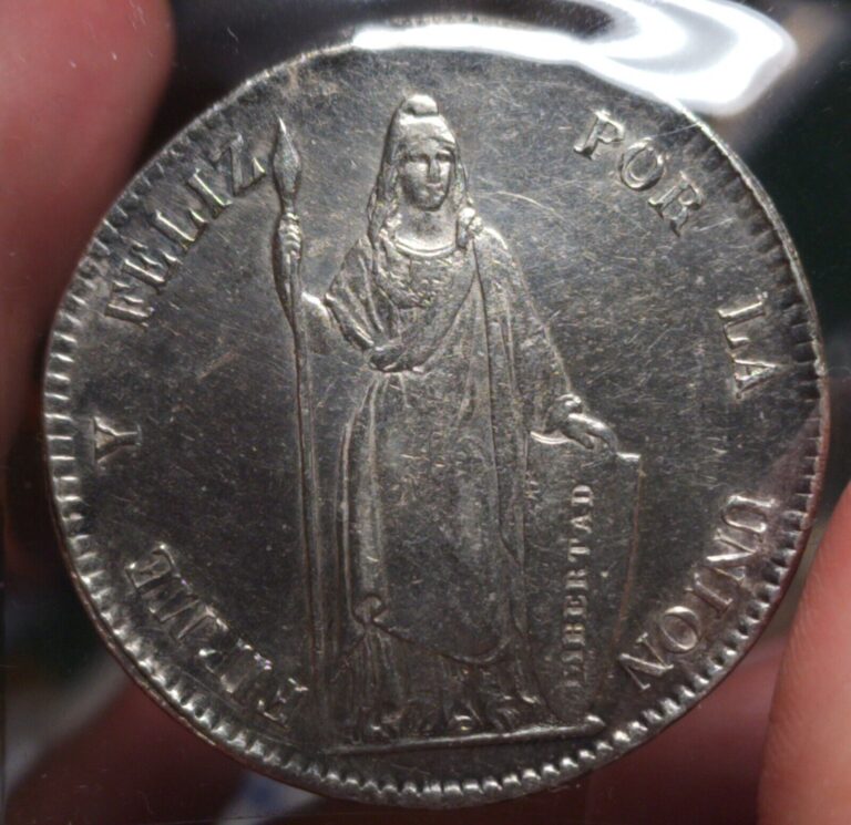 Read more about the article 1846 Peru 8 Reales Lima