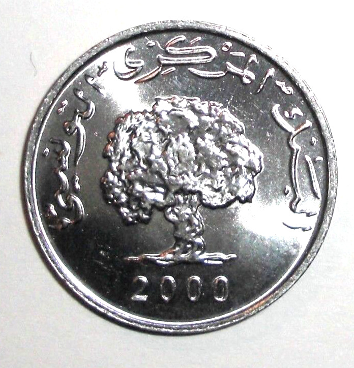 Read more about the article 2000 Tunisia Coin 1 millim Africa Oak Tree