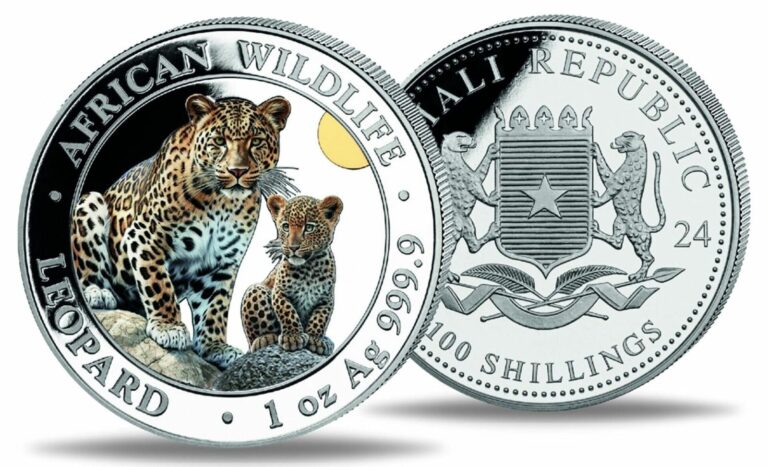 Read more about the article 2024 Somalia Leopard Colorized 1 oz Silver Coin in capsule