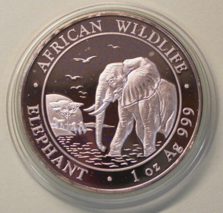 Read more about the article Somalia coin 100 Shillings 2010 2014 2015 2016 2017 Silver .999 Elephant animal