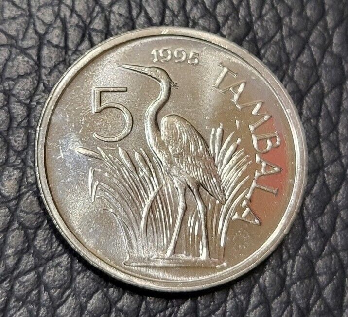 Read more about the article 1995 Malawi 5 Tambala Coin