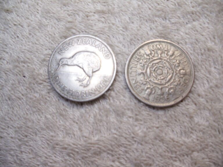 Read more about the article NEW ZEALAND ONE FLORIN 1964 and U.K. TWO SHILLING 1956 COINS LOT OF TWO