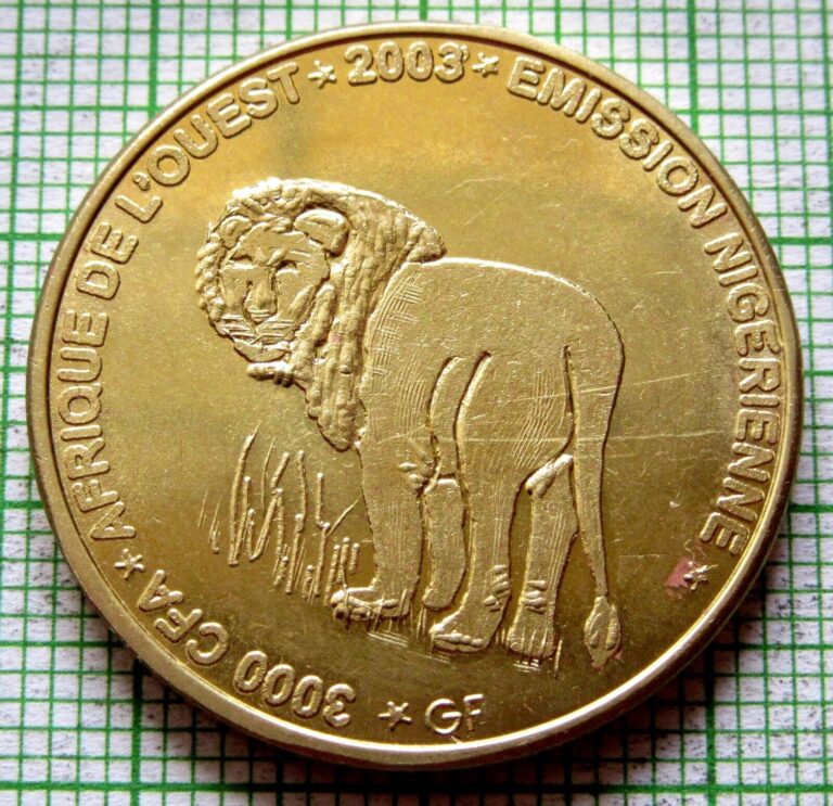 Read more about the article NIGER 2003 2 AFRICA or 3000 CFA COIN  LION  IDAO COINAGE Brass Unusual