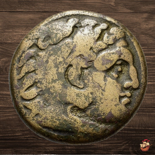 Read more about the article Ancient Greek Coin – Macedon Macedonia – Kassander (305-298 BC) @Q181