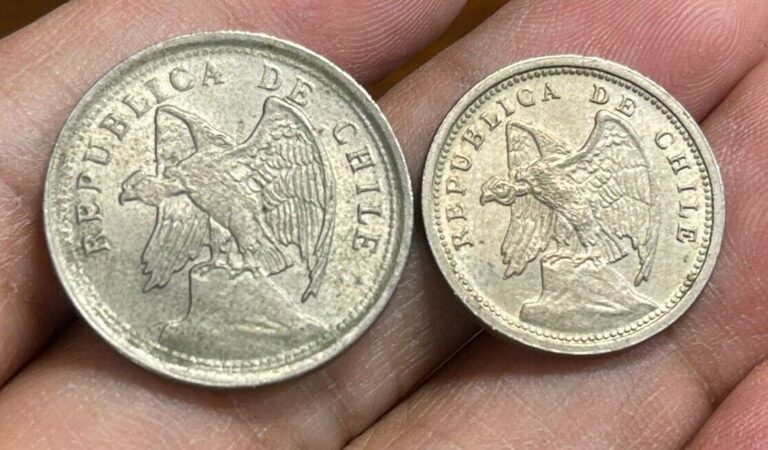 Read more about the article Early Chile 10 and 20 Centavos 2 Coins Lot Excellent Condition