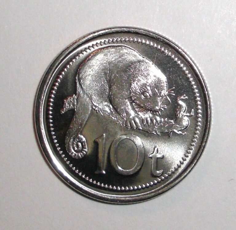 Read more about the article 2005 Papua New Guinea 10 toea  Cuscus  animal coin