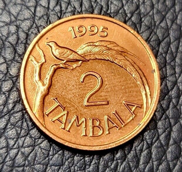 Read more about the article 1995 Malawi 2 Tambala Coin