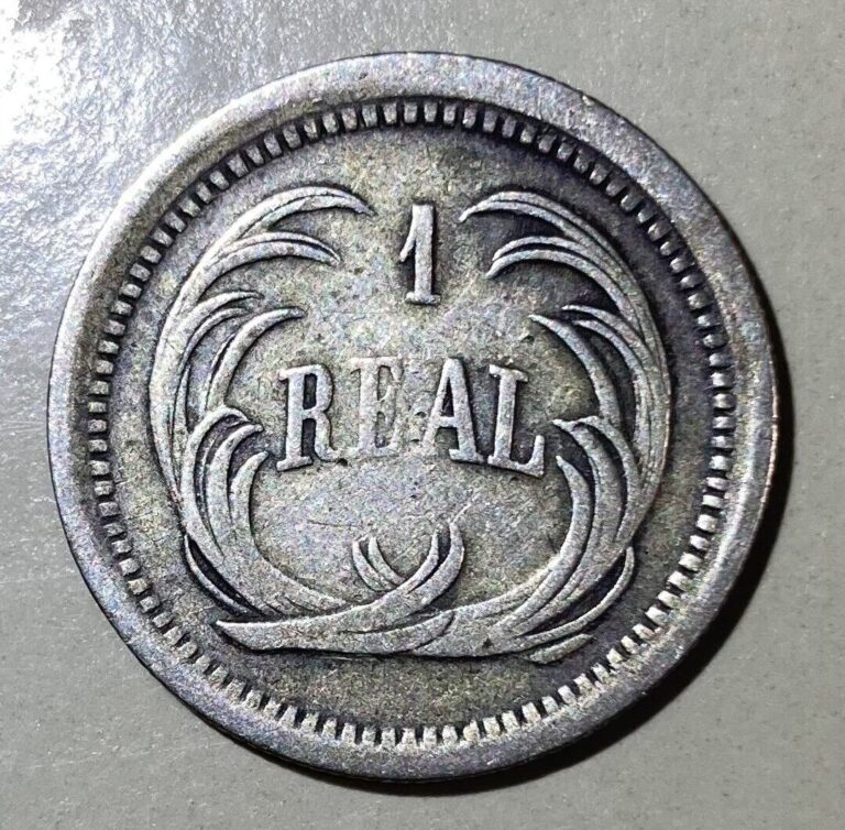 Read more about the article 1878 Guatemala 1 Real Silver Coin