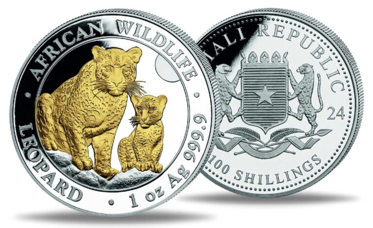 Read more about the article 2024 Somalia Leopard 24k Gold Gild 1 oz Silver Coin in capsule