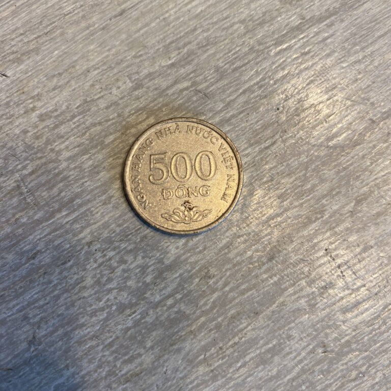 Read more about the article 2003 Vietnam 500 DONG Coin