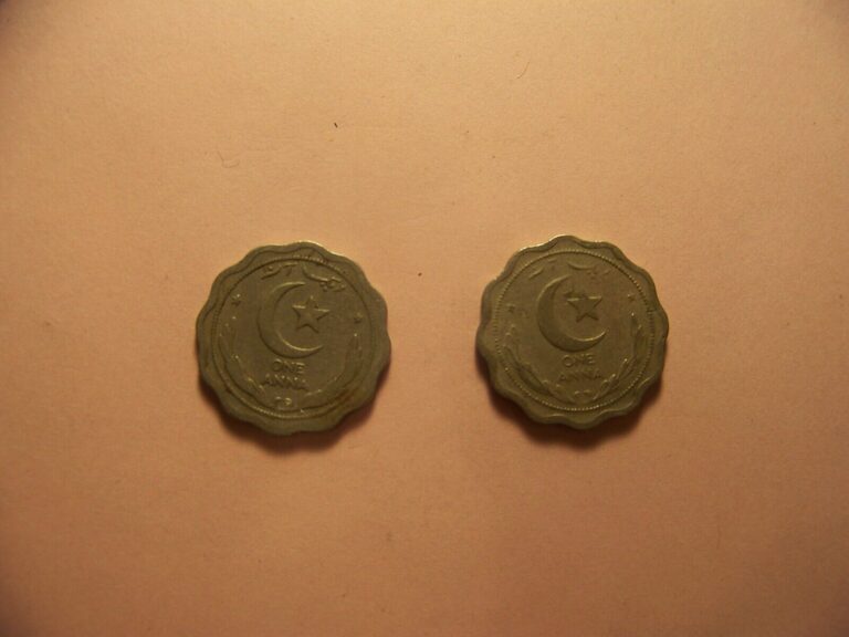 Read more about the article PAKISTAN  ONE ANNA  1948  GOVERNMENT OF PAKISTAN   LOT OF 2 COINS   [ FREE HandS ]