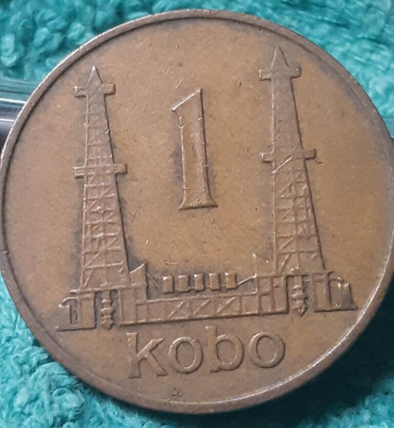 Read more about the article A 1973 Nigeria 1 kobo coin