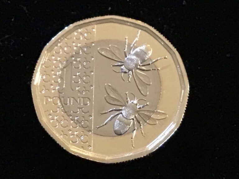 Read more about the article Rare 1st Strike 2023 UK King Charles III Bees BiMetallic £1 Pound Privy Mark