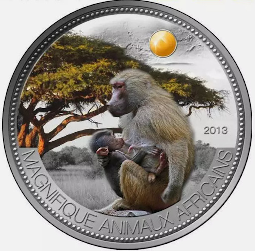 Read more about the article 2013 Niger 1000 CFA Beautiful African Wildlife OLIVE BABOON 1 oz Silver coin