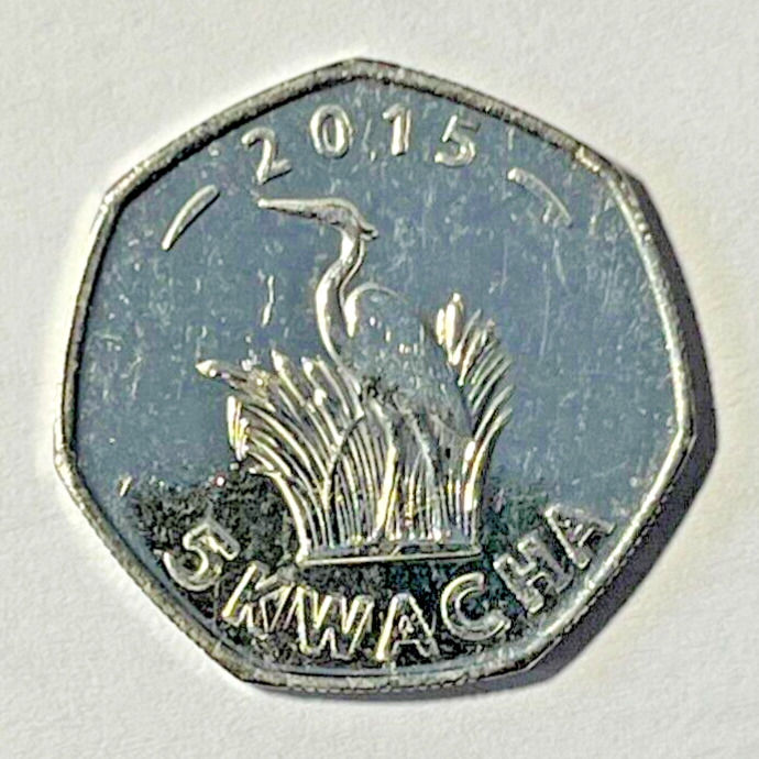 Read more about the article 2015 Malawi 5 kwacha Coin Purple Heron Standing in Waterside Cattails Wildlife