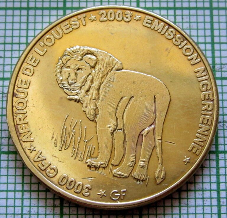 Read more about the article NIGER 2003 2 AFRICA or 3000 CFA COIN  LION  IDAO COINAGE Brass Unusual