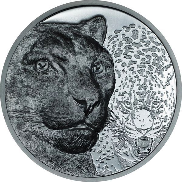 Read more about the article 2024 Mongolia Wild Mongolia Snow Leopard 2 oz Silver Black Proof Coin