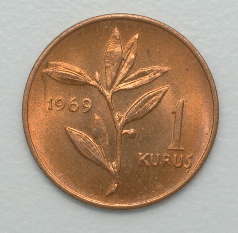 Read more about the article 1969 Turkey 1 Kurus Bronze choice red uncirculated coin FREE SHIPPING