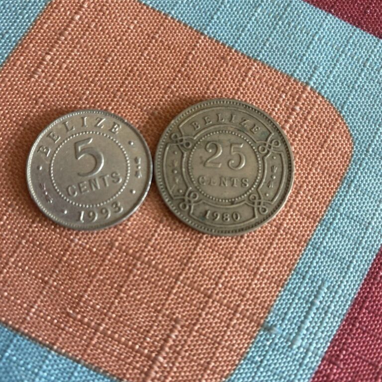 Read more about the article 1989 Belize 25 Cents  1993 5 Cents – 2  Coins!