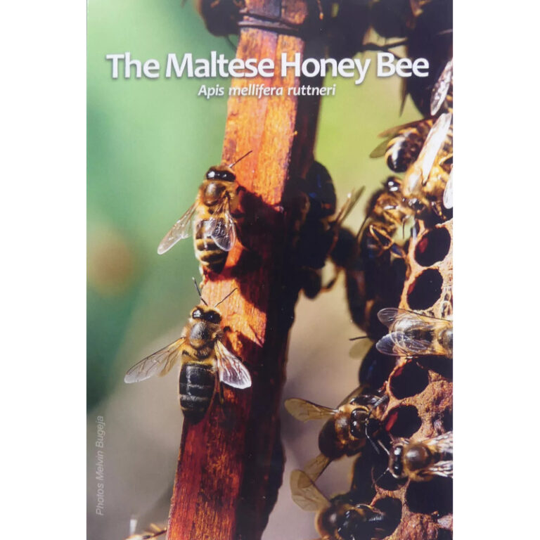 Read more about the article 2024 Malta € 2 Euro BU Coin – Indigenous Species: The Maltese Honey Bee